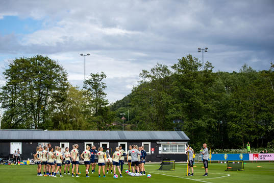 Players of the Swedish women's national football team