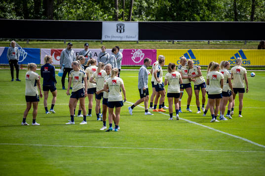 Player of Sweden