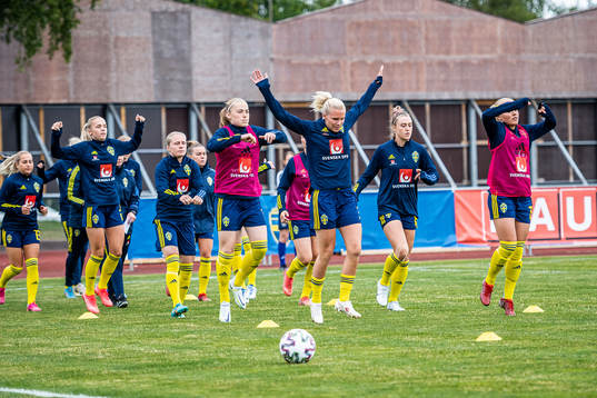 Players of Sweden