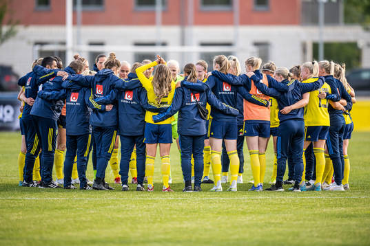 Players and leaders of Sweden