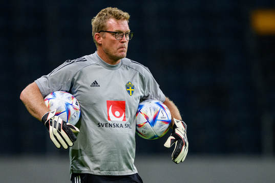 Leif Troedsson, goalkeeper coach