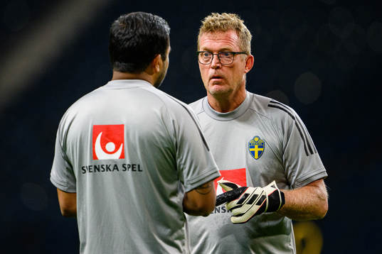 Leif Troedsson, goalkeeper coach