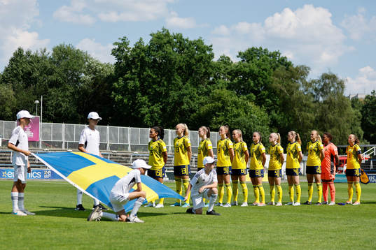 Players of Sweden