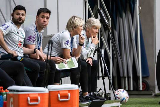 head coach Pia Sundhage of Brazil