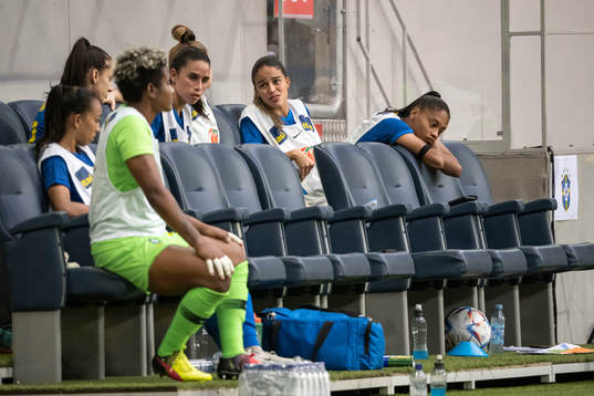 Substitutes of Brazil