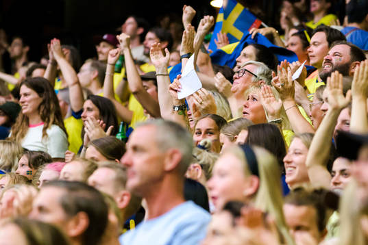 Swedish supporters celebrate