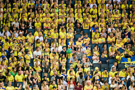 Swedish supporters celebrate