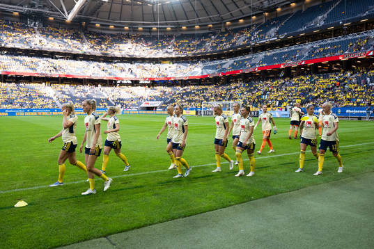 Players of Sweden