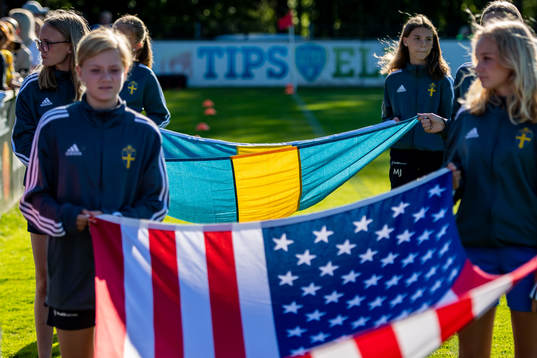 Flags of USA and Sweden