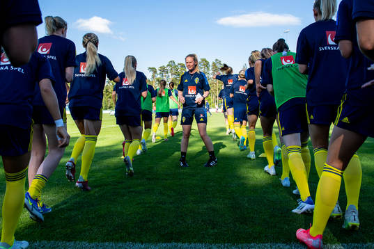 Player of Sweden