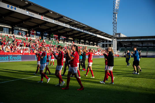 Players of Denmark