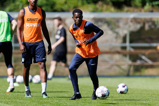 Raphael Ayaji