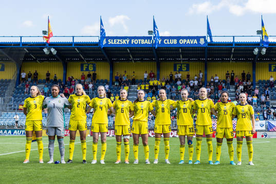 The players of Sweden