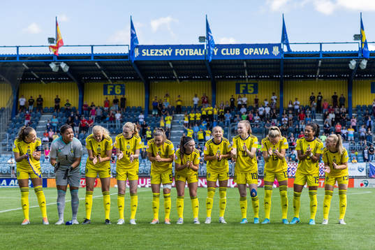 The players of Sweden