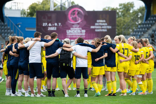 The players of Sweden