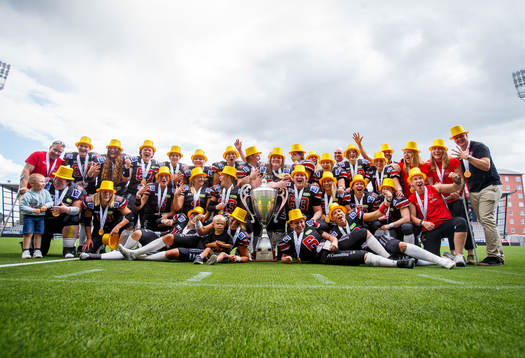 e SM-guld