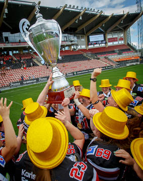 e SM-guld