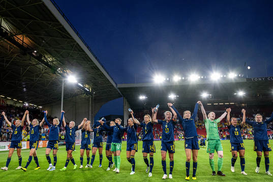 Players of Sweden