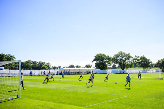 General view of the Swedish national football team at a