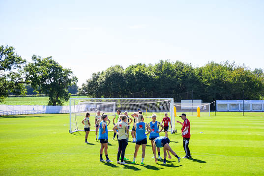Players gather around Peter Gerhardsson, head coach of the