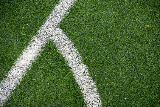 Artificial grass