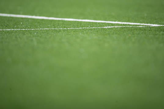 Artificial grass