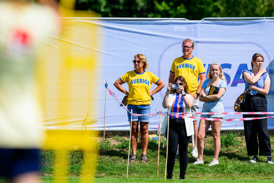 Supporters of the Swedish women's national football team
