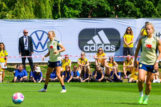 Supporters of the Swedish women's national football team
