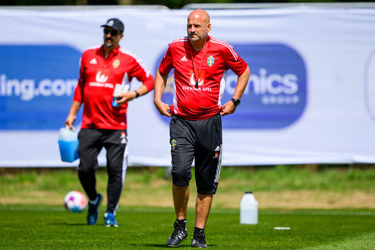 Magnus Wikman, assistant coach of the Swedish women's