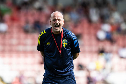 Magnus Wikman, assistant coach of Sweden