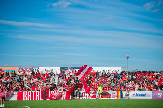 Spectators in the stands