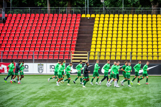 The team