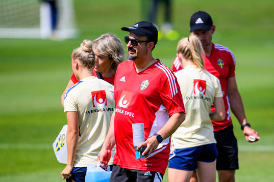 Houman Ebrahimi, doctor of the Swedish women's national
