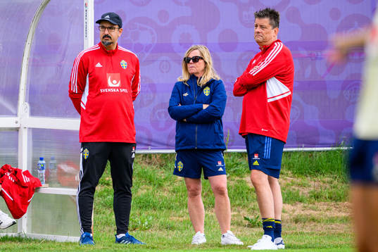 Houman Ebrahimi, doctor, Marika Domanski Lyfors, team
