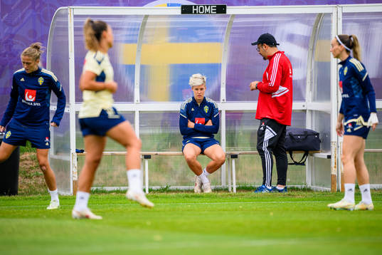 Lina Hurtig and Houman Ebrahimi, doctor of the Swedish
