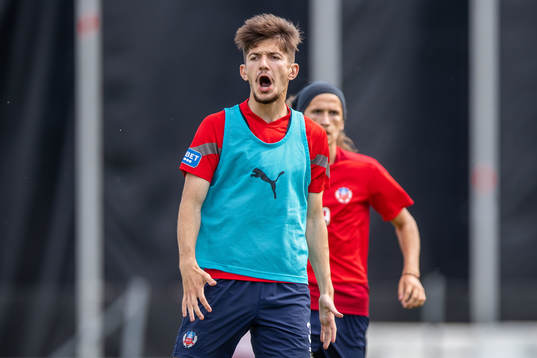 Armin Gigovic