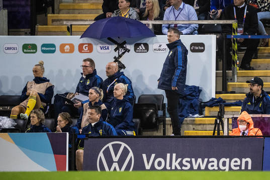 Peter Gerhardsson, head coach of Sweden