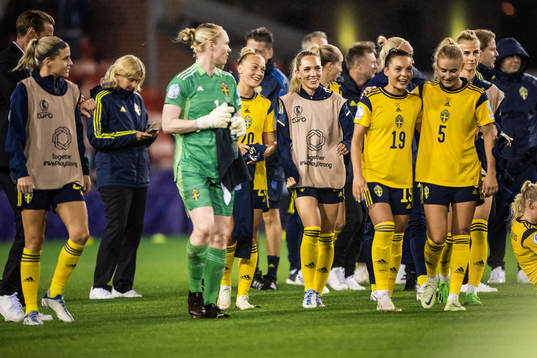 Players of Sweden