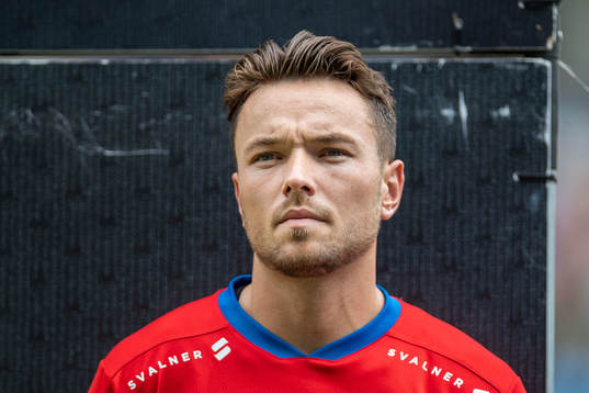Helsingborgs Viljormur Davidsen