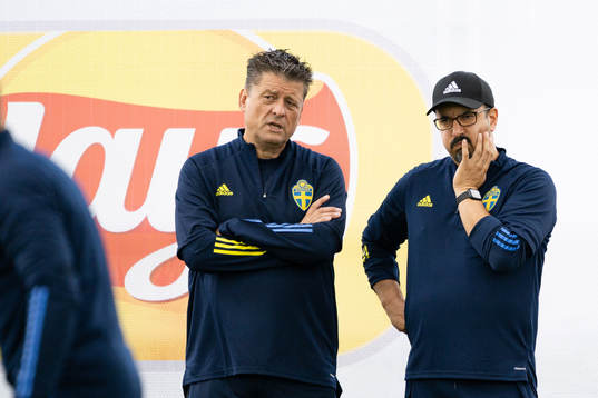 Mats Börjesson and Houman Ebrahimi, doctors of the Swedish