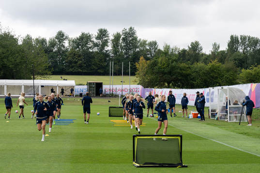 General view of the Swedish women's national football team