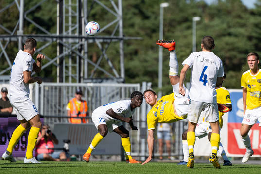 Falkenbergs Taylor Silverholt