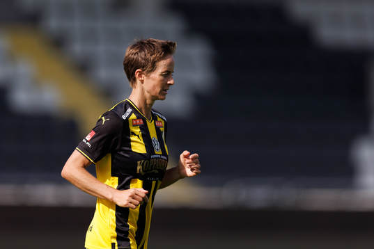 Häckens Aivi Luik