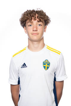 Anton Höög