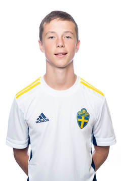 Wille Turegård