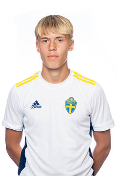 Viggo Elfström