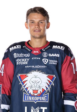 Linköpings Arvid Costmar