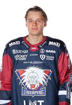 Linköpings Mattias Hävelid