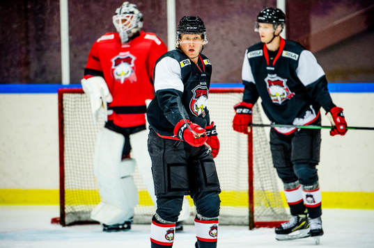 Marcus Sylvegård