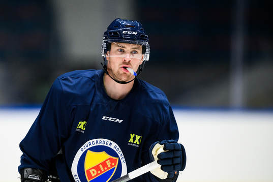 Djurgårdens Daniel Brodin